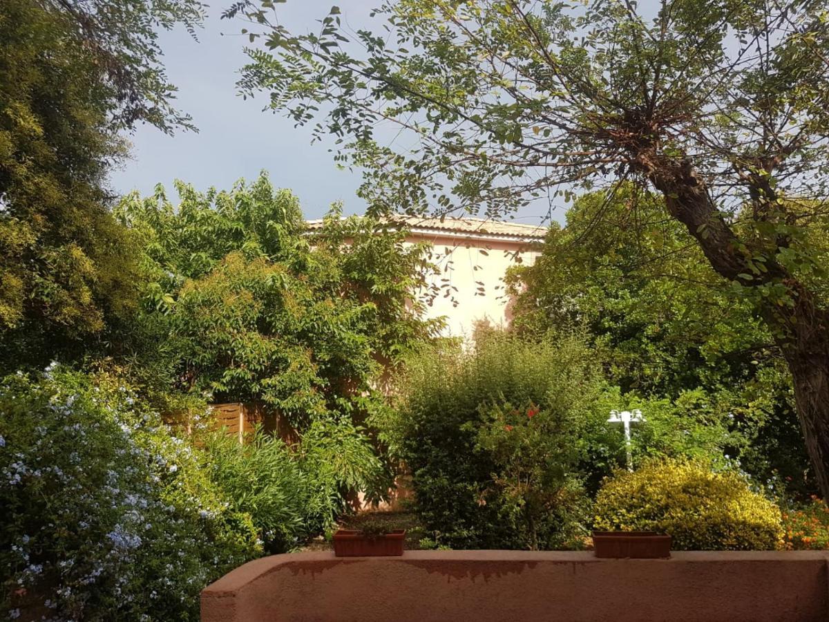 Le Clos Des Arbousiers Linguizzetta Εξωτερικό φωτογραφία
