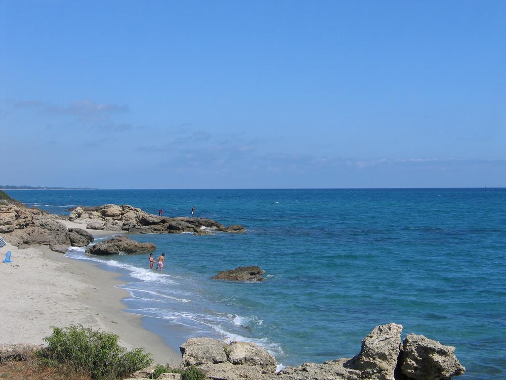 Le Clos Des Arbousiers Linguizzetta Εξωτερικό φωτογραφία