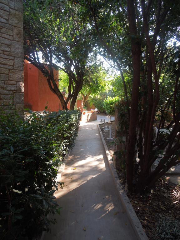 Le Clos Des Arbousiers Linguizzetta Εξωτερικό φωτογραφία