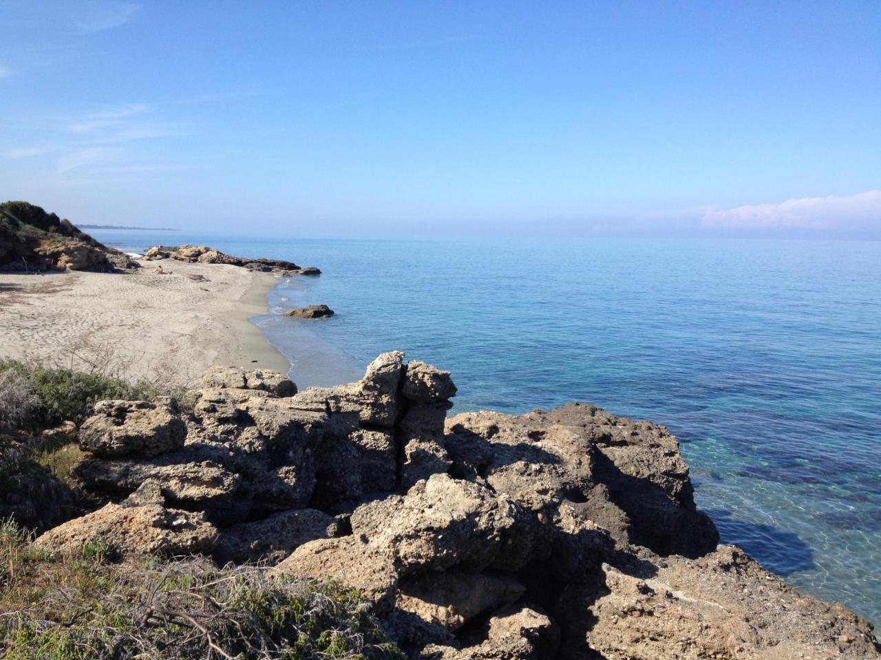 Le Clos Des Arbousiers Linguizzetta Εξωτερικό φωτογραφία