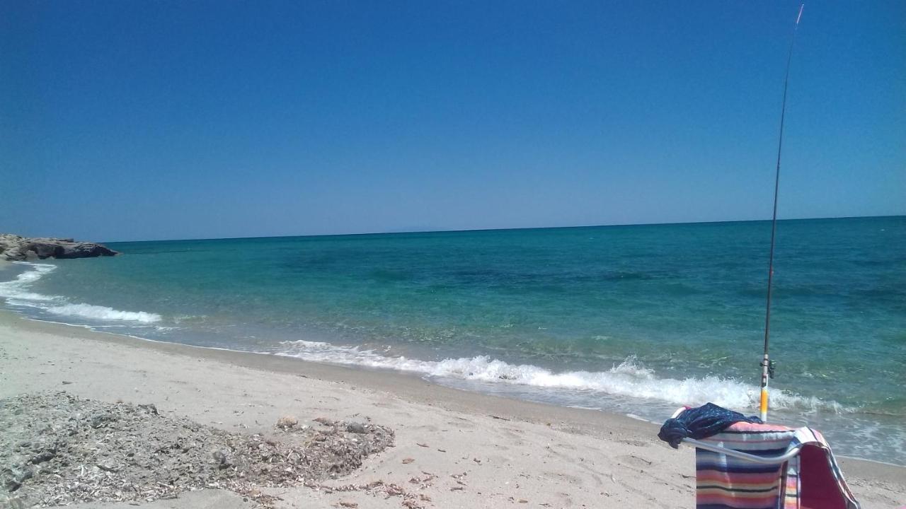 Le Clos Des Arbousiers Linguizzetta Εξωτερικό φωτογραφία